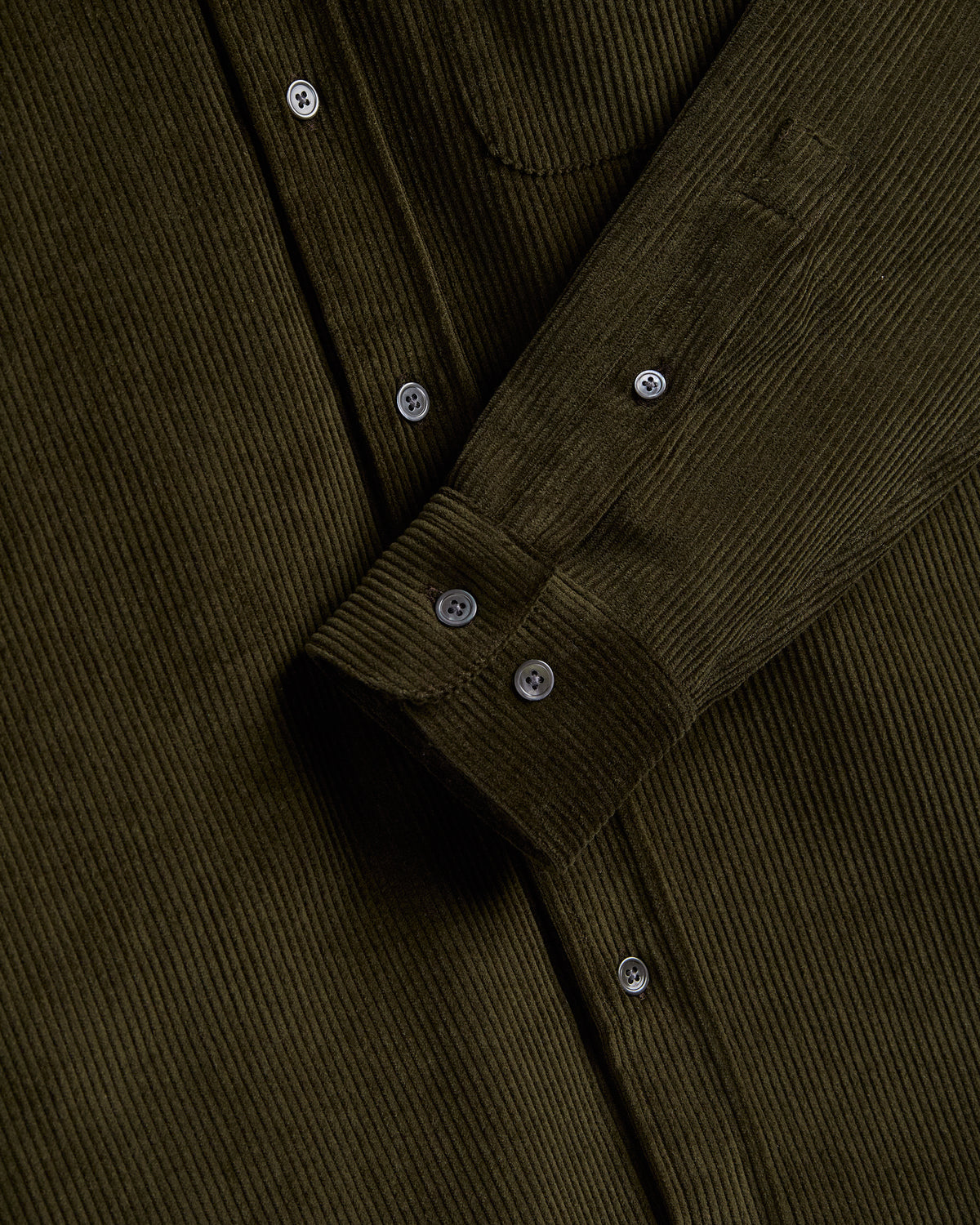 Lobo - Olive